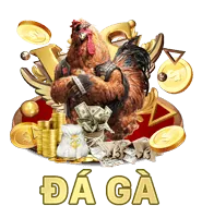Cá cược thể thao N8BET